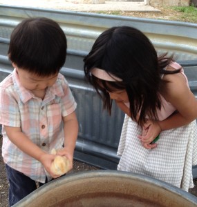 Gavin and Claire Playing with Chicks