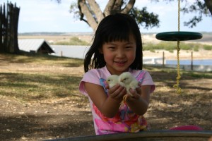 Claire holding two chick